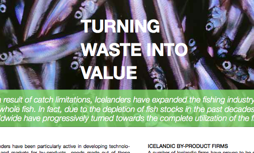 Article published – Turning Waste into Value