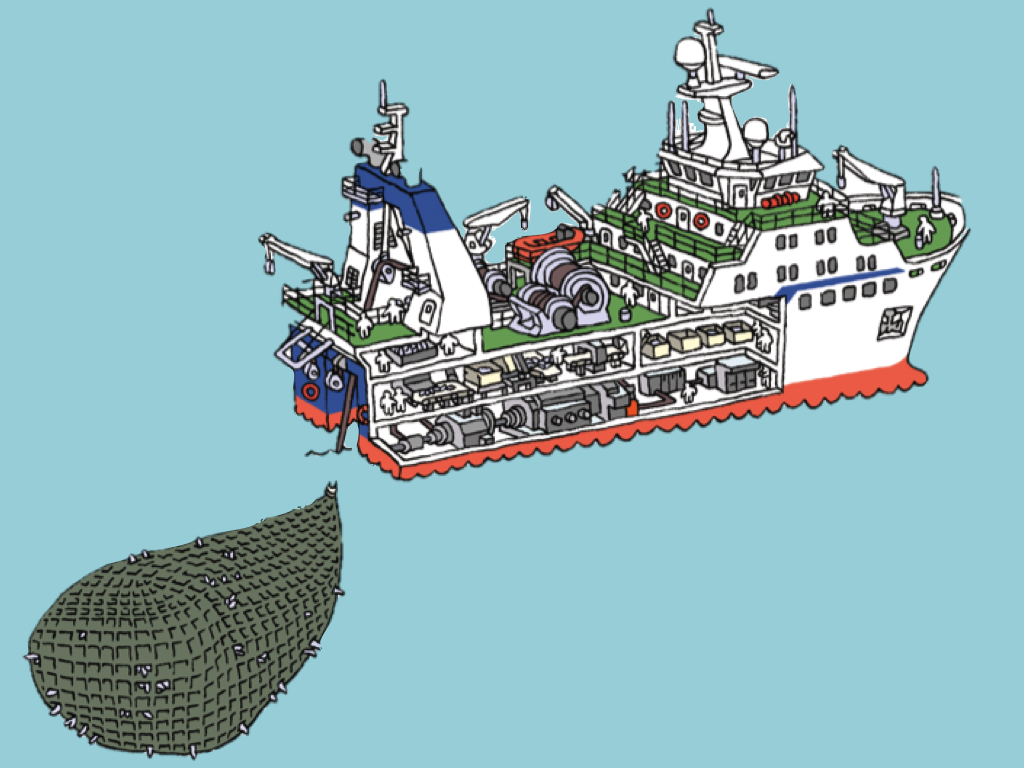 Ocean Cluster Analysis: The Green Fishing Vessel
