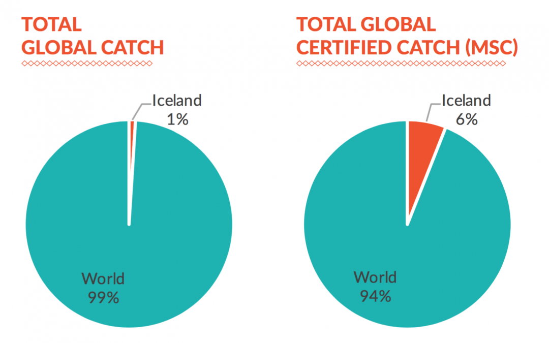 1% of the Global Catch but 6% of the Global Certified MSC Catch