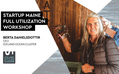 The Iceland Ocean Cluster participates in the Startup Maine conference in Portland Maine.