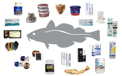 Increased focus on product development from fish byproducts