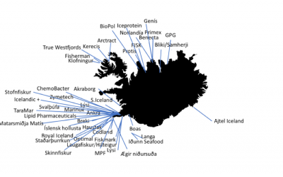 Mapping of seafood byproduct companies in Iceland